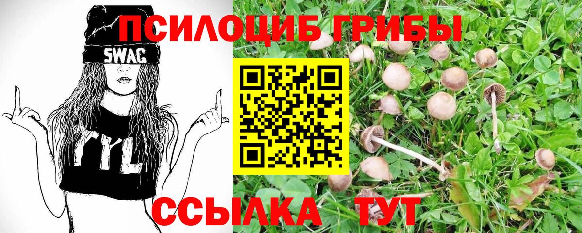 Псилоцибиновые грибы Cubensis Домодедово